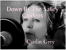 the salley gardens irish folk song