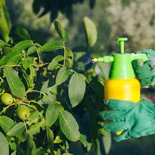 insecticidal soap for garden pests