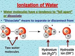 Ppt Ionization Of Water Powerpoint