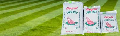 no 2 lawn seed top seller gr