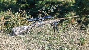 ruger american go wild review