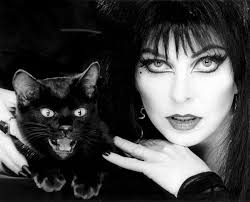 catwoman mistress of the dark woman