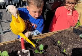 child care kindergarten early