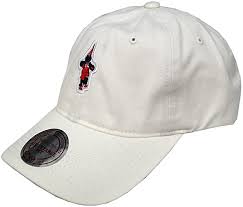 There has long been held a debate over whether mascots actually contribute anything to sports and whether they should even be around. Mitchell Ness Curved Cap Washington Wizards Team Mascot Slouch Nba Amazon De Bekleidung
