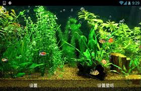 aquarium live wallpaper hd free