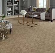 carefree carpets floors project