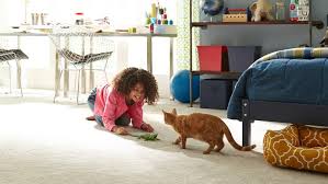 the best carpet for kids and pets
