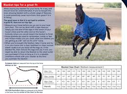 Shires Sweet Itch Combo Fly Sheet