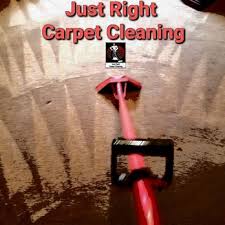 just right carpet cleaning of west
