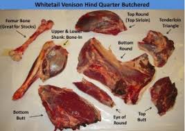 Breaking It Down The Venison Hind Quarter He Hunts She Cooks
