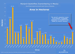 How Many Monarch Butterflies In Mexico This Winter