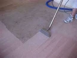 carpet cleaner morehead city nc