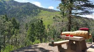Informed rvers have rated 19 campgrounds near sardis, mississippi. Oak Grove Campground Picture Of Oak Grove Campground Ruidoso Tripadvisor