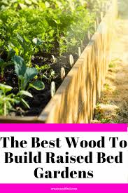 The Best Wood For Raised Bed Gardens