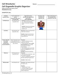Cell Organelle Graphic Organizer Differentiated For
