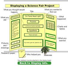 Science Fair Boards Examples Outstanding Science Fair