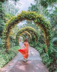 singapore botanic gardens guide 2023