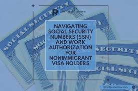 navigating social security numbers ssn