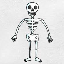 easy skeleton drawing oartsy