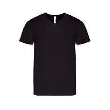 Brand Alstyle Apparel American T Shirt Company