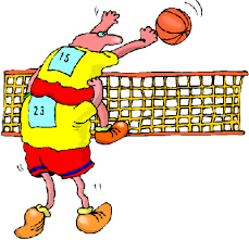 Картинки по запросу основные правила игры волейбол