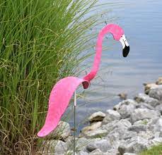 Hot Pink Flamingo Dancing Bird