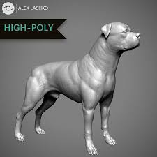 rottweiler high poly dog 3d model 3d