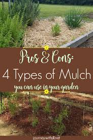 mulch you can use in your garden