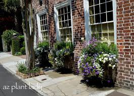 Check spelling or type a new query. Window Box Planters Of Charleston Sc Birds And Blooms