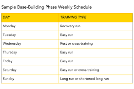 the basics of creating a training plan