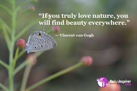 Image result for nature quotes