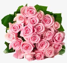 beautiful flowers roses bouquet png