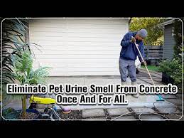 pet urine smell from concrete