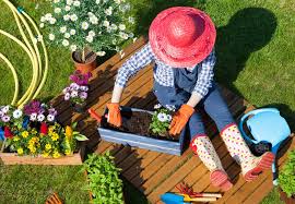 Simple Gardening Tips Ideas And