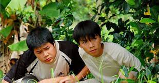Top 5 phim Việt Nam dành cho thiếu nhi hay nhất mọi thời đại