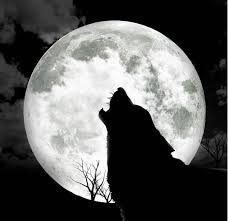 Full Moon Tonight Aaaaarrroooooooooooooooooooo!! Images?q=tbn:ANd9GcQCrRiM-OFb05mEkeTUh45aXpxEkYKgvPKV4T3iq_nCaKGmmVYo