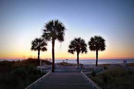 palmetto dunes oceanfront resort