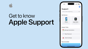 contact official apple support
