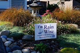 Seattle Residents Build Rain Gardens