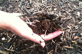 clay soil 5 tips for making your