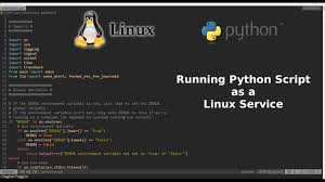 running python script as a linux