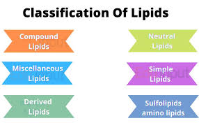 clification of lipids functions of