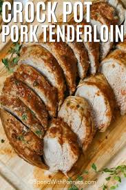 crock pot pork tenderloin 5 minutes