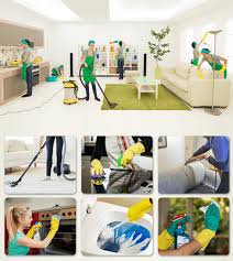best house cleaning service near