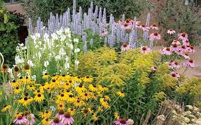 A small yard shouldn't be uninspiring. 9 Tips For Professional Looking Garden Design High Country Gardens