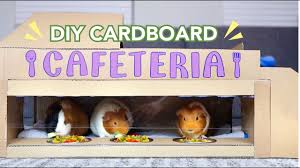 diy cardboard cafeteria for guinea pigs
