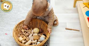eco friendly and captivating toys
