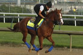 Belmont Stakes Time Odds Picks Tv And Streaming Info