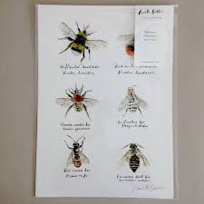 Bee Chart Print