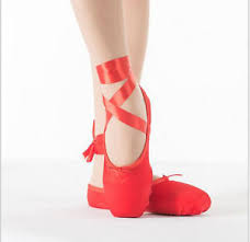 Details About Women Ladies Satin Red Pink Professional Ballet Dance Toe Shoes Pointe Shoe Size